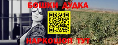 стаф Боровичи