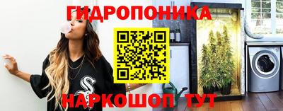 apvp Брянск