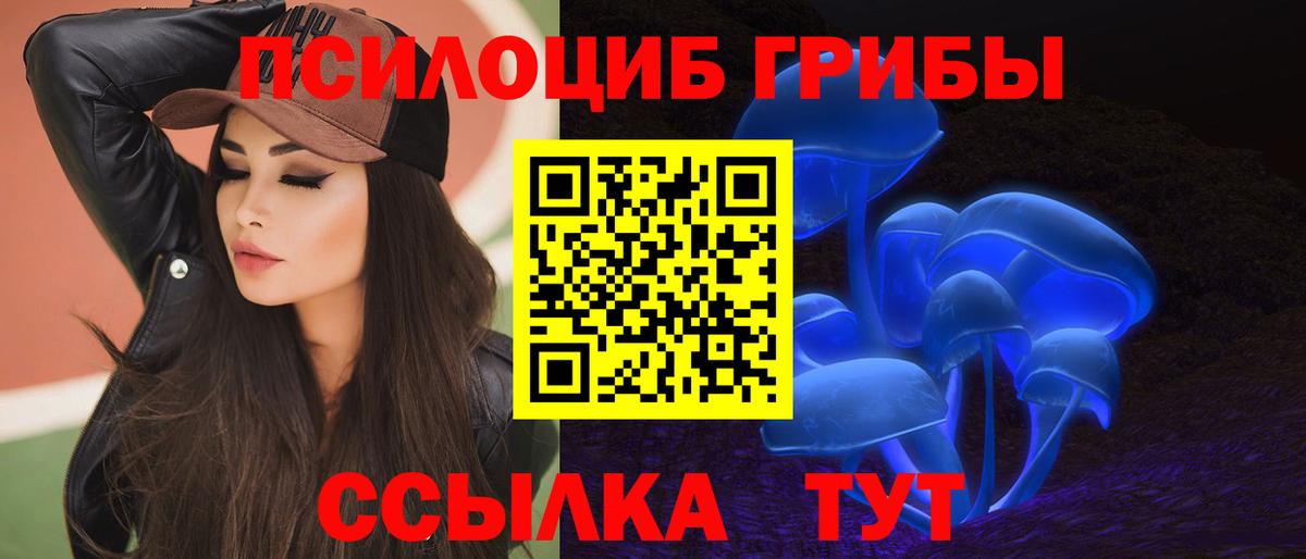 Грозный  Галлюциногенные грибы MAGIC MUSHROOMS  Вход с VPN 